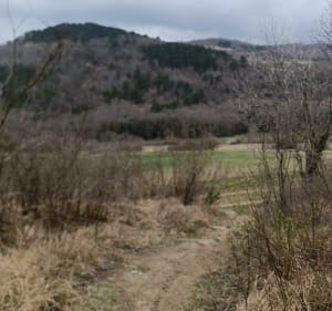 Du côté de La Roche-Blanche - La Roche-Blanche - 4