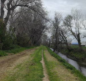 Le long des canaux de Saint-Martin-de-Crau, et Domaine du Lac - Saint-Martin-de-Crau - 3