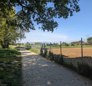 Balade douce entre Pézilla-la-Rivière et Saint-Estève - Pézilla-la-Rivière - 5