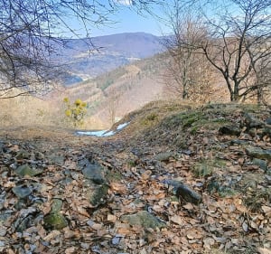 Równica-trzy kopce-równica - Brenna - 3