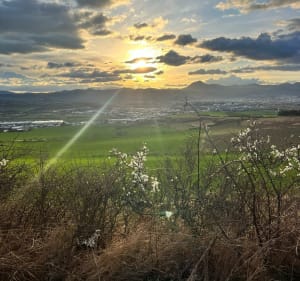 Vagabondages dans les collines de Lempdes et Puy d'Anzelle. - Lempdes - 4