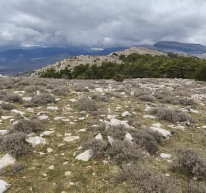 Tour au sein du parc naturel régional au départ de Saint Vallier de Thiey - Saint-Vallier-de-Thiey - 5