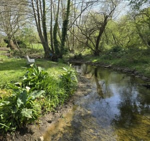Tour du lac Hardy Soustons Landes - Soustons - 3