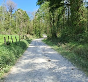 Le relais Aspois entre routes et chemins par Boumayou - Agnos - 4