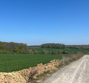 Entre bois et champs autour de Moussy-le-Neuf - Moussy-le-Neuf - 3