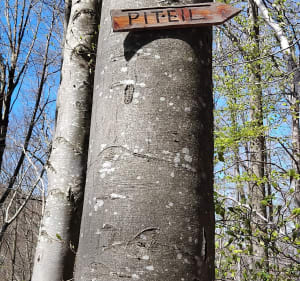 De Villeneuve au Pérot en passant par le Piteill - Villeneuve-d'Olmes - 4