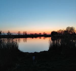 Wiosenny spacer przy dźwiękach ptaków - Kraków - 4