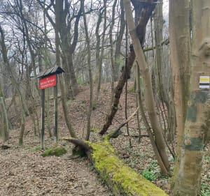 Spacer przez Panieńskie Skały - Kraków - 3