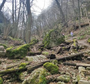 Spacer przez Panieńskie Skały - Kraków - 4