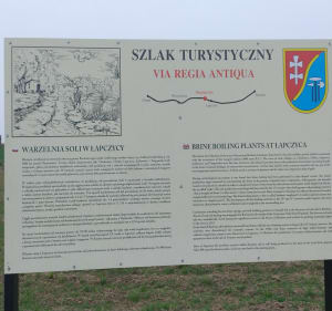 Łapczyca Trakt Królewski - Kinga - 5