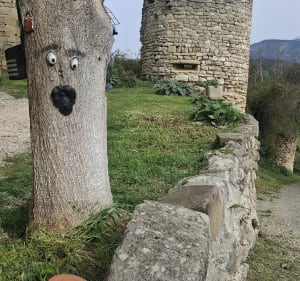 Chateau d'Entrechaux et ses chapelles - Entrechaux - 3