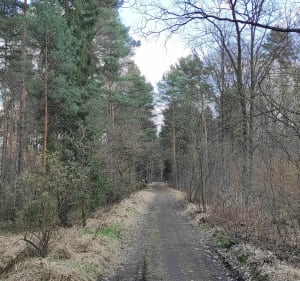 Spacer szlakiem kolejki konnej - Mysłowice - 3