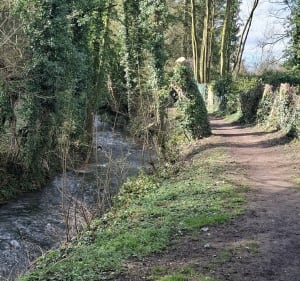 Tour du bois de St-Pierre - Pas-en-Artois - 3