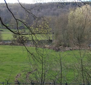 Rivières et forêt à Croisy sur Andelle - Croisy-sur-Andelle - 4