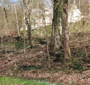 Rivières et forêt à Croisy sur Andelle - Croisy-sur-Andelle - 5