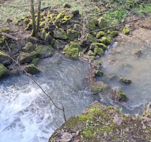 Tour du bois de St-Pierre - Pas-en-Artois - 4