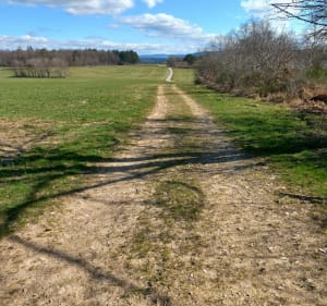 Les Hauts de Fallières et le Potet - Saint-Nabord - 4