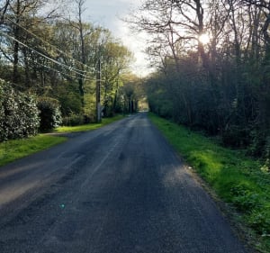 Dans la campagne Soullandaise au départ de Challans - Challans - 3
