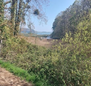 Autour de Langrolay sur Rance - Plouër-sur-Rance - 3