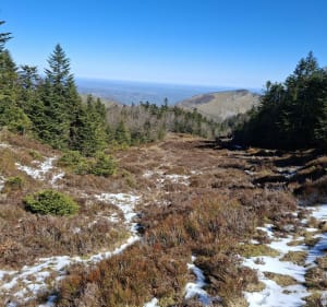 Balade au Pic de Soulaing - Arette - 4