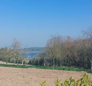 Autour de Langrolay sur Rance - Plouër-sur-Rance - 5