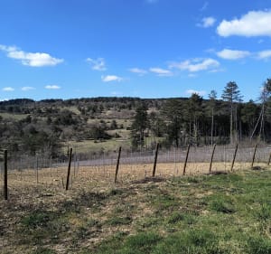 Voyage entre vignes et plateau à Beaune - Beaune - 3