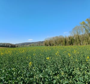 Randonnée des trois monts - Grandrû - 4