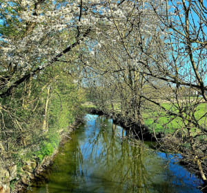 Entre le lac du Héron et Hem - Villeneuve-d'Ascq - 3