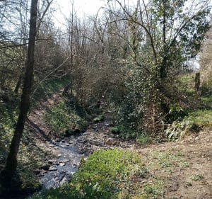 Balade à Plessis Grimoult - Les Monts d'Aunay - 3