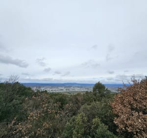 Randonnée de Bollène au Barry - Bollène - 4