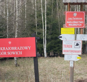 Osówka parking - Trzy stawy Głuszyca. - Głuszyca - 3
