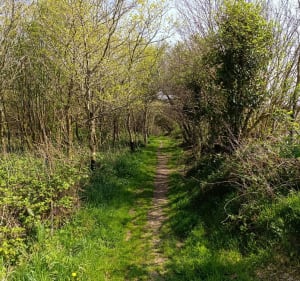 Penc'Rando Verte - Pencran - 3