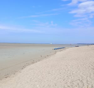 Balade ensoleillée sur la plage - La Barre-de-Monts - 3