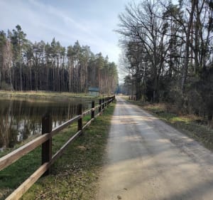 Okolice Zespołu Przyrodniczo -Krajobrazowego  Borkowice - Rokitnica - 5