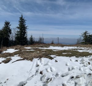 Beskid Sądecki - Przysietnica - 5