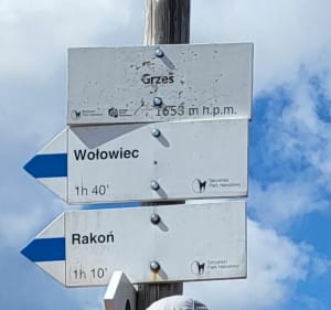 Siwa Polana, Polana Chochołowską i Grześ - Witów - 3