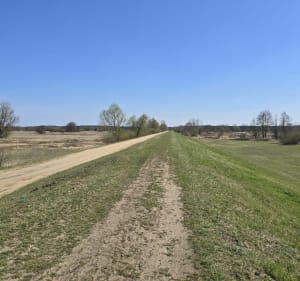 Okolice Kamieńczyka po płaskim - Nadkole - 4
