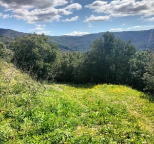 Super petite balade sur La Tour-du-Pin - Vieussan - 4
