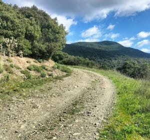 Super petite balade sur La Tour-du-Pin - Vieussan - 2