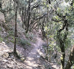 Super petite balade sur La Tour-du-Pin - Vieussan - 3