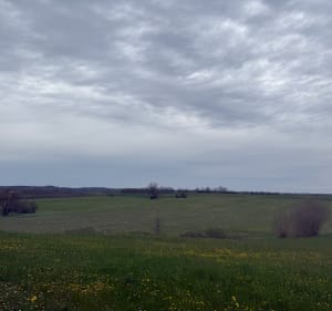 Terre Aux Oubliettes - Montcuq-en-Quercy-Blanc - 3