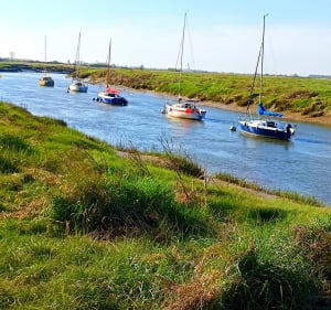Boucle de la baie d'Authie - Berck - 5