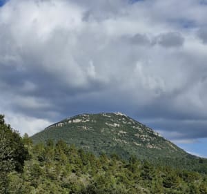 Petit et gros Bessillon de Pontevès - Pontevès - 3