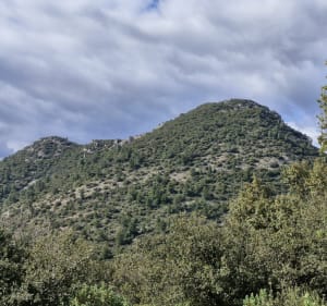 Petit et gros Bessillon de Pontevès - Pontevès - 5