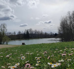 Étang de la Besseye - Villemoirieu - 4