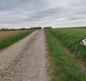 Entre mer et champs depuis Audresselles - Audresselles - 3