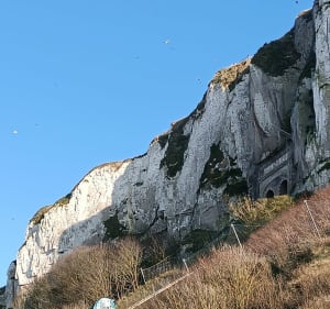 Virée Tréportaise - Le Tréport - 4