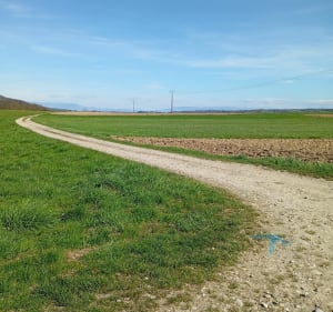 Autour de la Bourbre - Cessieu - 5