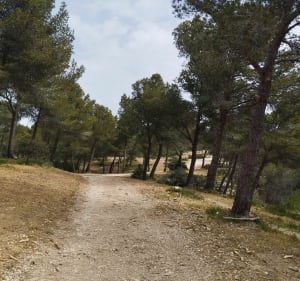 Le massif du Tallagard par le Petit Sonnailler - Salon-de-Provence - 4