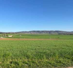 Boucle sur les hauteurs de Saône - Saône - 3